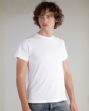 Men's Tear-Away Label T-Shirt - 3.7 oz., 100% cotton jersey. Regular fit. Te...